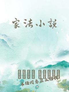 家法小说