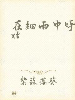 在细雨中呼喊txt