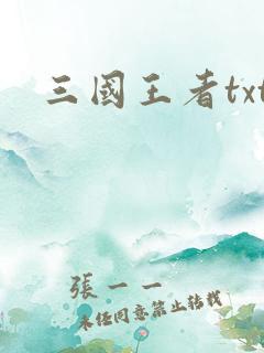 三国王者txt