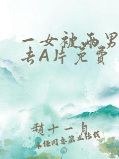 一女被两男桶进去A片免费