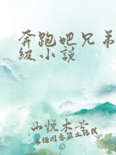 奔跑吧兄弟限制级小说