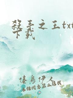 杀手之王txt下载