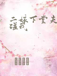 二嫁下堂夫君别碰我