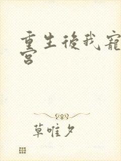 重生后我宠冠东宫