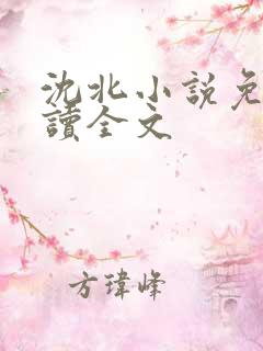 沈北小说免费阅读全文