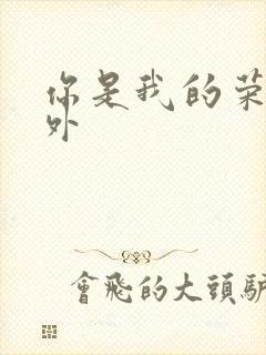 你是我的荣耀番外