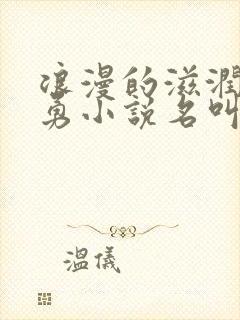 浪漫的滋润刘大勇小说名叫什么?