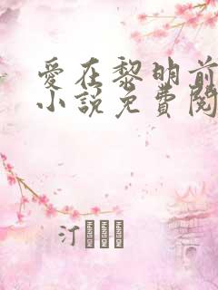 爱在黎明前降落小说免费阅读