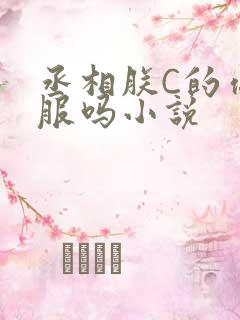 丞相朕C的你舒服吗小说