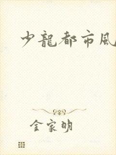少龙都市风流行