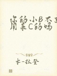 你的小B不就是用来C的吗