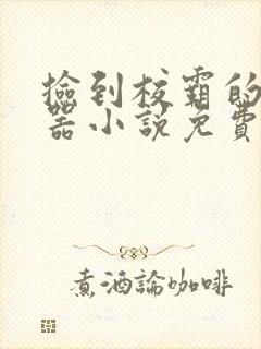 捡到校霸的遥控器小说免费阅读