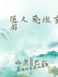 猎人 飞坦有洁癖