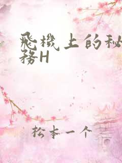 飞机上的秘密服务H