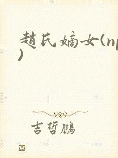 赵氏嫡女(np)