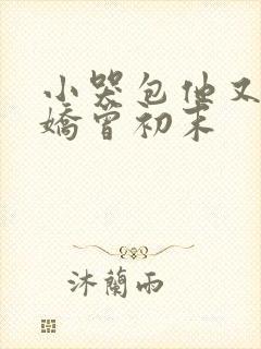 小哭包他又软又娇曾初末