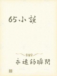 65小说