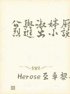 公与淑婷厨房猛烈进出小说