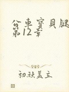 公车宝贝腿开点第12章