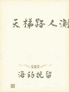 天梯路人测试器