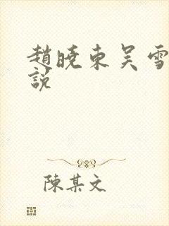 赵晓东吴雪晴小说