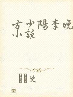 方少阳李晚晴的小说