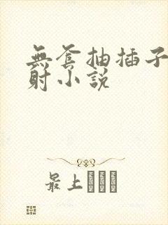 无套抽插子宫内射小说