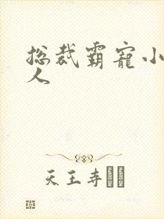 总裁霸宠小小女人