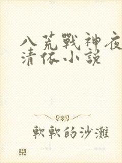 八荒战神夜麟云清依小说