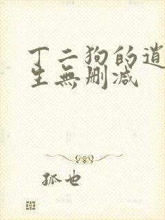 丁二狗的逍遥人生无删减