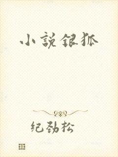 小说银狐