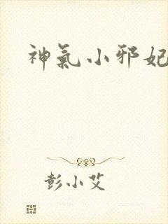 神气小邪妃