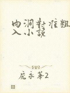 肉洞对准粗大坐入小说