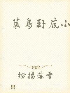 菜鸟卧底小正太