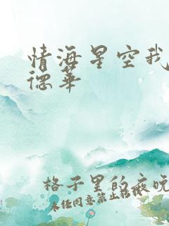 情海星空我与刘德华