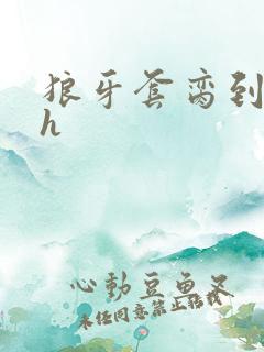 狼牙套脔到她哭h