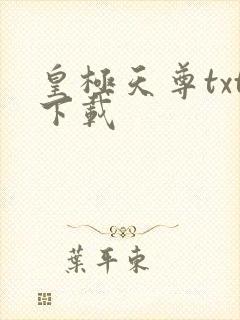 皇极天尊txt下载