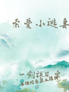 索爱小逃妻