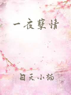 一夜孽情