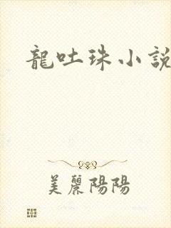 龙吐珠小说