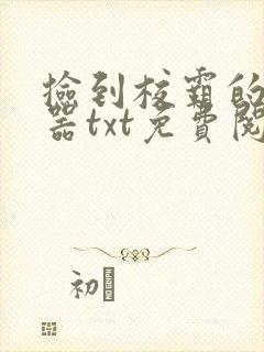 捡到校霸的遥控器txt免费阅读