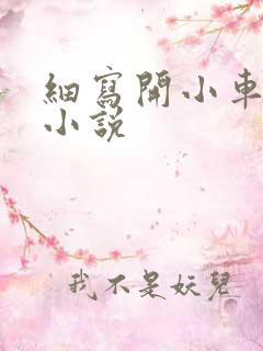 细写开小车车的小说