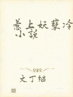 惹上妖孽冷殿下 小说