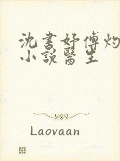 沈书妤傅灼抖音小说医生