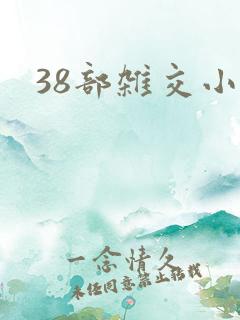 38部杂交小说