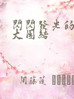 闪闪发光的小说大团结