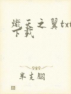 炽天之翼txt下载