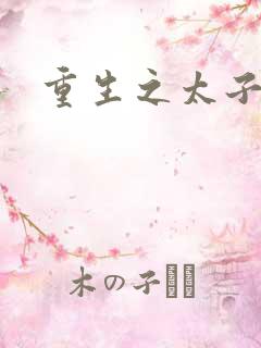 重生之太子建成