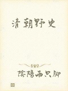 清朝野史