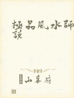 极品风水师 小说